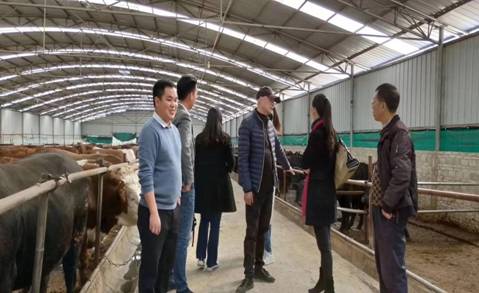 8E78EB30F9B4B4CC7D2838567AAF519B